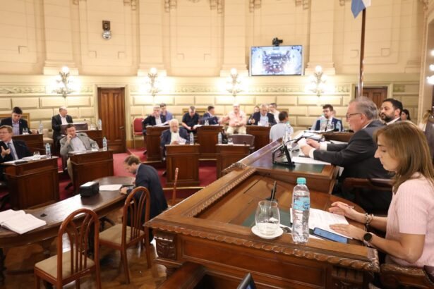 Senador Felipe Michlig durante la sesión donde se aprobó la mejora en los plazos para jubilados