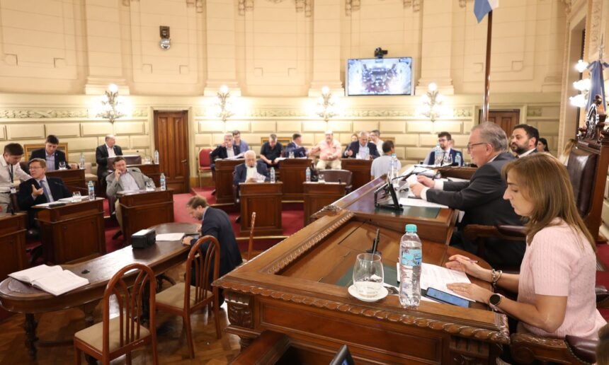 Senador Felipe Michlig durante la sesión donde se aprobó la mejora en los plazos para jubilados