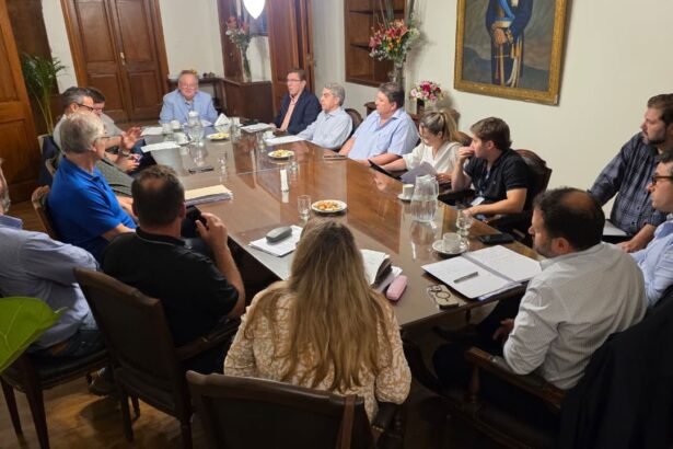 Reunión del Senado de Santa Fe por la Ley Orgánica de Municipios