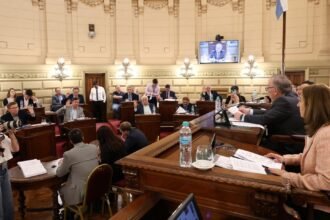 El senador Felipe Michlig presidiendo la sesión de media sanción de la nueva Ley Orgánica de Municipios en el Senado Provincial.