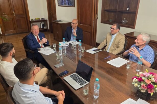 Felipe Michlig junto a intendentes y ministros durante la ronda de consultas por la Ley Orgánica de Municipios en el Senado.