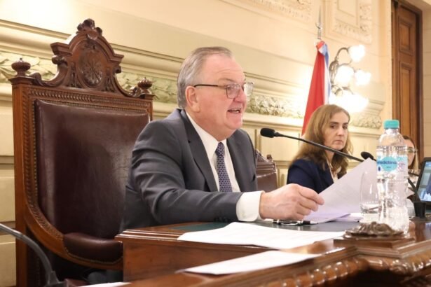 Senador Felipe Michlig durante la sesión del Senado presentando el pedido de informe sobre planes de viviendas.